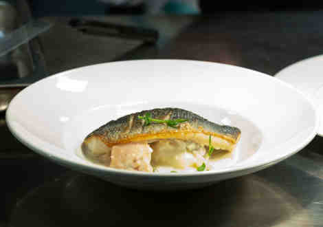 A cooked fish served on a white plate with a white sauce and herbs.